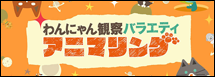 わんにゃん観察バラエティ アニマリング